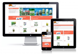 Website Thương mại điện tử